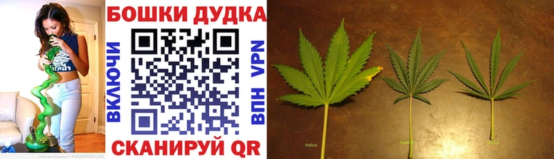 Купить Циолковский Метадон  ГАШИШ  APVP  Конопля  Cocaine 