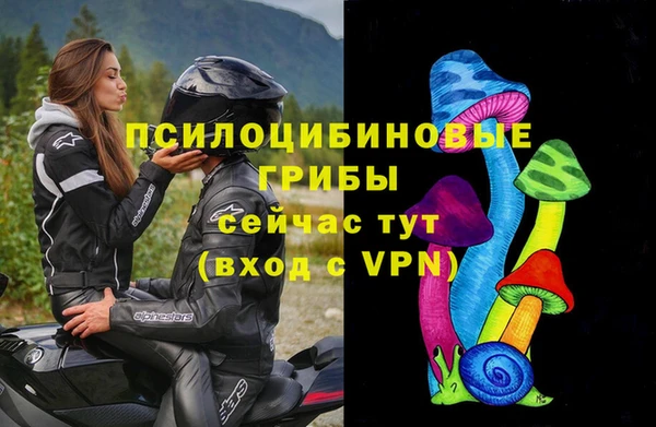 таблы Алексеевка