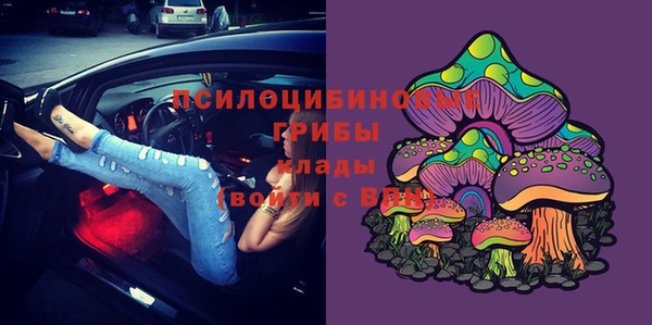 спиды Анива