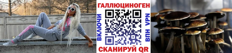 купить наркотики сайты  Циолковский  Галлюциногенные грибы ЛСД 