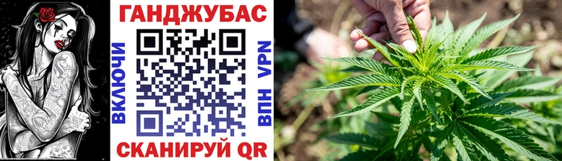 купить   Циолковский  Марихуана MAZAR 
